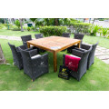 New Design Good Quality Rattan Dining Set